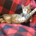 @judybernhardt42 - Instagram