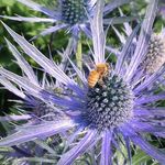 Judy Beth - @writereadart - Instagram