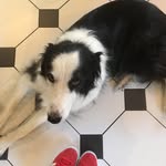 Judy Beyer - @beyer.judy - Instagram