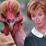 Judy Bird. - @dontjudythejudge - Instagram
