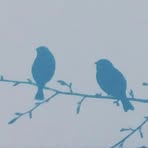 Judy Bird - Facebook
