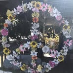 Judy Bird - Facebook