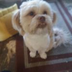 Judy Bird - @judy.bird.7169 - Instagram