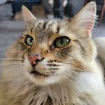 Judy Blanc - @judyblanc - Instagram
