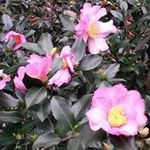 Judy Blaylock - @blaylock.judy - Instagram