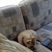 Judy Bledsoe - Facebook