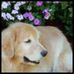 Judy Bloomfield - Facebook