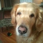 Judy Bloomfield Lourash - @judylourash - Instagram