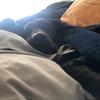jude_boardman - @jude_boardman - TikTok