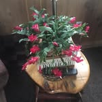 Judith Sykes-Boardman - @judith_sykes_boardman - Instagram