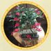 Judith Sykes-Boardman - Facebook