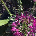 Judy Goldbach Botkin - @judygoldbachbotkin - Instagram