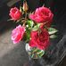 Judy Bourne - Facebook