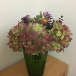 judy bower - @judebower2021 - Instagram