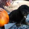 Judy Bowers - @judy.bowers6 - TikTok
