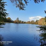 Judy Brady - @judybrady39 - Instagram