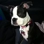 Judy Brady - @jbrady4503 - Instagram