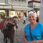 Judy Brady - @judy_brady2010 - Instagram