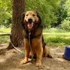 Judy Brant419 - @that_drunk_guy1 - TikTok