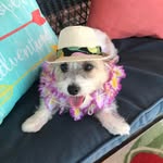 Judy Brant - @judy_brant - Instagram