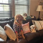 Judy Brant - @jbrant413 - Instagram