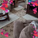 Judy Brantner - @brantnerjudy - Instagram