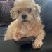 Judy Bryant - Facebook