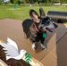 Judy Breen - Facebook