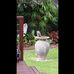 Judy Breen - Facebook