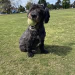 Judy Brett - @gregandjudy15 - Instagram