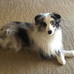Judy Brickman - @judy.brickman - Instagram