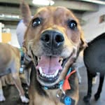 Judy Bronson - @judy.bronson - Instagram