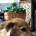 Judi Brush - Facebook