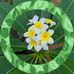 Judy Burrows - Facebook