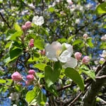 Judy Burrows - @judy_b_17 - Instagram