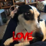 Judy Burrows - @burrows_judy - Instagram