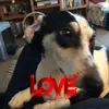 Judy Burrows - @judy.burrows6 - TikTok