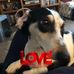 Judy Burrows - Facebook