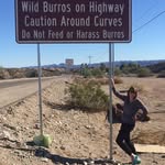 Judy Weide Burrows - @teamburrows - Instagram