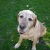 Judy Busch - Facebook