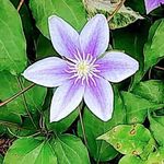 Judy Busch - @judy_a_busch - Instagram