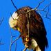 Judy Busch - Facebook
