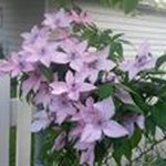 Judy Busch-Kuzemka - @judy_busch_kuzemka - Instagram
