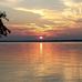 Judy Button - Facebook