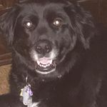 Judy Capps - @judy.williams.9041 - Instagram