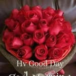judiciary_dairy - @judycary_dairy - Instagram