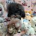 Judy Cary - Facebook