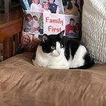 Judy Cary Birrell - @jacbirrell - Instagram