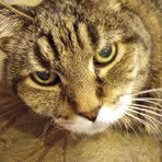 Judy Catlin - Facebook