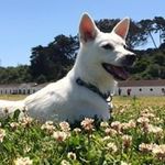 Judy Chao - @chao6299 - Instagram
